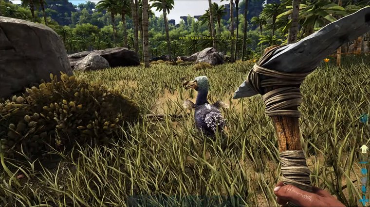 Best Survival Games 2026: Top Picks for PC, PS5 & Xbox survival games 2026